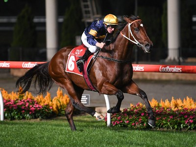 Masked Crusader has the potential to dethrone Nature Strip- ... Image 1